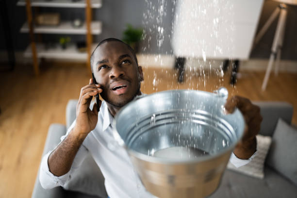 Best Water damage mitigation services  in Crofton, MD