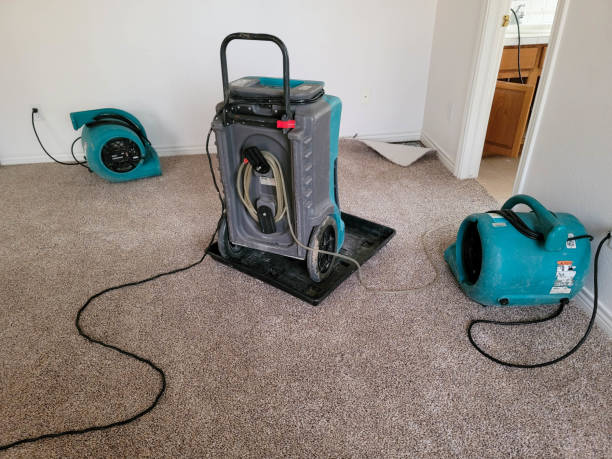  Crofton, MD Water damage restoration Pros