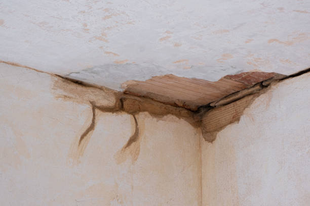 Water damage restoration mold remediation in Crofton, MD