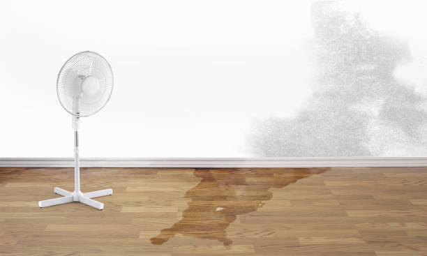 Best Flood damage cleanup  in Crofton, MD