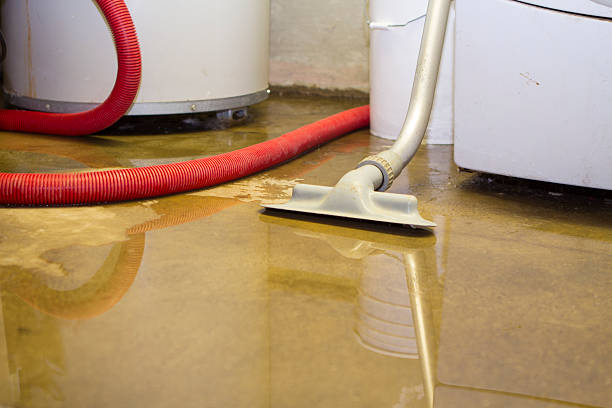 Best Water damage cleanup near me  in Crofton, MD