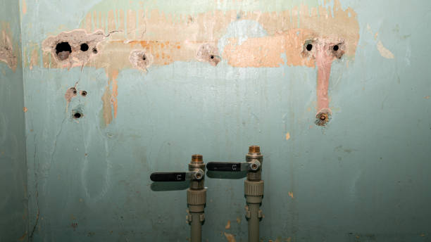 Best Fire Damage Restoration  in Crofton, MD
