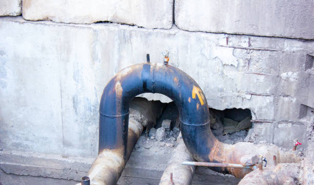 Best Water damage restoration mold remediation  in Crofton, MD