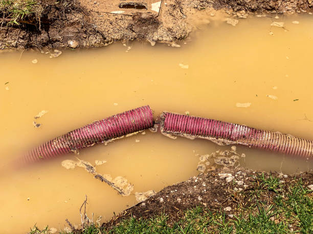 Best Sewage cleanup and water damage restoration  in Crofton, MD