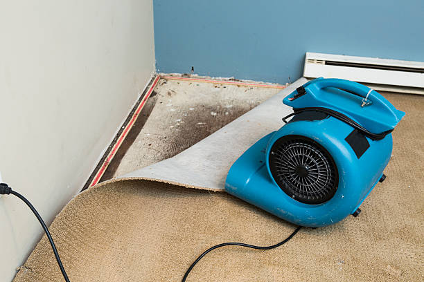 Best Residential water damage restoration  in Crofton, MD